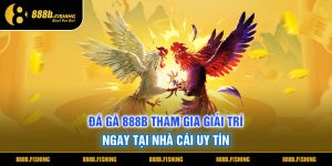 Đá Gà 888B - Tham Gia Giải Trí Ngay Tại Nhà Cái Uy Tín  2 Đá Gà 888B Tham Gia Giải Trí Ngay Tại Nhà Cái Uy Tín