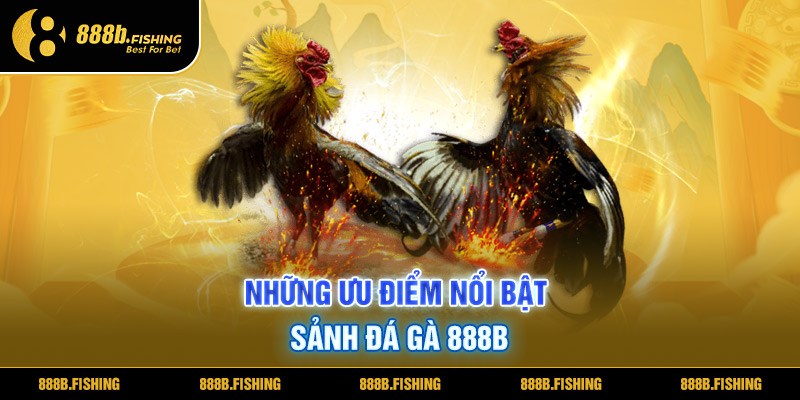 Đá Gà 888B - Tham Gia Giải Trí Ngay Tại Nhà Cái Uy Tín 3 Những ưu điểm nổi bật sảnh đá gà 888b