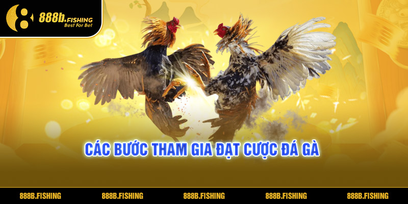 Đá Gà 888B - Tham Gia Giải Trí Ngay Tại Nhà Cái Uy Tín 4 Các bước tham gia đặt cược Đá Gà